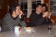 APV Bott 2007